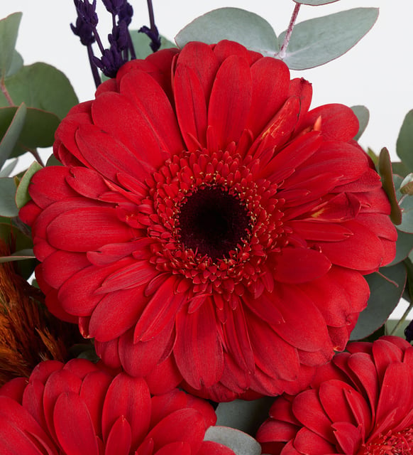 Gerbera Aranjmanı